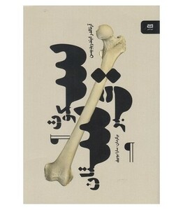 کتاب سکوت قبرستان اثر آرنالدر ایندریدیسن