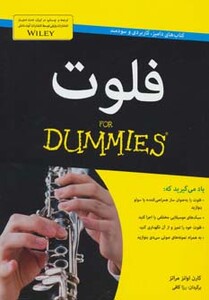 کتاب فلوت از دامیز اثر کارن اوانز مراتز ترجمه رزا کافی