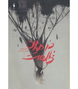 کتاب در میان ظلمت اثر سونیا گنسلر