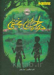 کتاب دریاچه مخفی نشر پرتقال اثر کارن اینگلیس