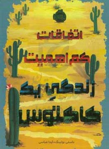 کتاب اتفاقات کم اهمیت اثر داستی بولینگ ترجمه آیدا عباسی