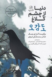 کتاب دنیا از چشم کلاغ اثر ای سنگ