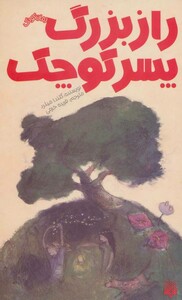 کتاب راز بزرگ پسر کوچک اثر گلندا میلرد ترجمه فریده خرمی