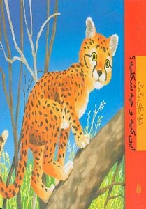 کتاب این کیه و چه شکلیه از ترانه های نی نی