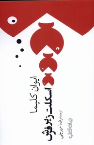 کتاب اسکلت زیر فرش اثر ایوان کلیما ترجمه رضا میرچی