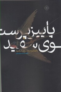 کتاب پاییز پرستوی سفید اثر ابراهیم سلیمی کوچی