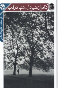 کامران شیردل تنها در قاب