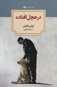 کتاب در هچل افتاده اثر اورلی والونی ترجمه آمنه کرمی