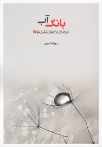 کتاب بانگ آب دریچه ای به جهان نگری مولانا