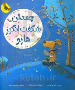 کتاب چمدان شگفت انگیز هاپو اثر تریسی کوردروی