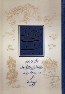 بر لب دریای مثنوی معنوی علمی