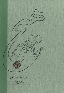 کتاب هیاهو بر سر هیچ نشر کارنامه