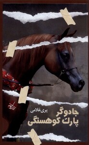 کتاب جادوگر پارک کوهسنگی اثر پری غلامی