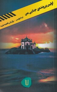 کتاب اولین پرونده جنایی من اثر لینا لتولینن