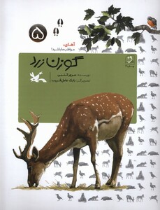 کتاب گوزن زرد آهای مواظب ما باشید 5 کانون