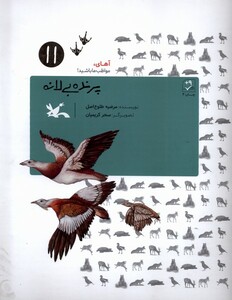 کتاب پرنده بی لانه آهای مواظب ما باشید 11 کانون
