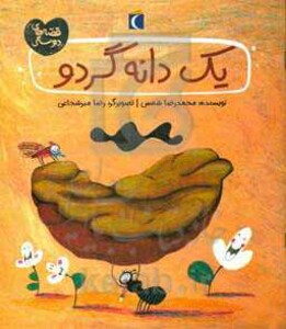 کتاب یک دانه گردو اثر محمدرضا شمس