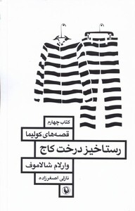 رستاخیز درخت کاج