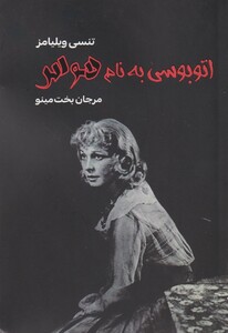 اتوبوسی به نام هوس نمایشنامه