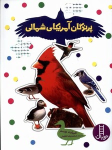 کتاب بچسبان و بیاموز 18 پرندگان آمریکای شمالی نردبان
