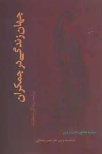 کتاب جهان زندگی در جمکران اثر سکینه خاتون تشت زرین