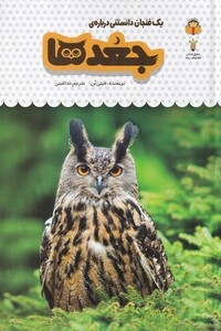 کتاب یک فنجان دانستنی درباره جغدها