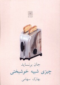 کتاب چیزی شبیه خوشبختی نیلا اثر جان برنساید