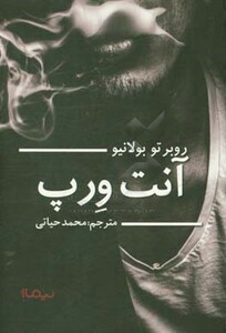 کتاب آنت ورپ اثر روبرتو بولانیو ترجمه محمد حیاتی