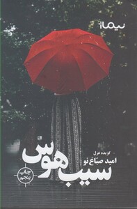 کتاب سیب هوس گزیده غزل اثر امید صباغ نو