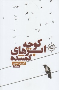 کتاب کوچه ابرهای گمشده اثر کوروش اسدی