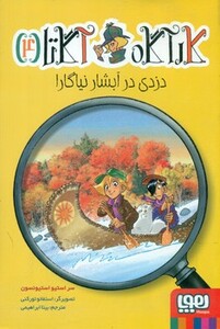 دزدی در آبشار نیاگارا