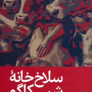 سلاخ خانه شیکاگو