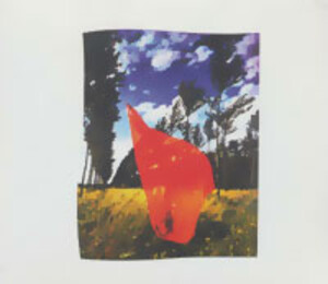 کتاب ای کاش اینجا بودی