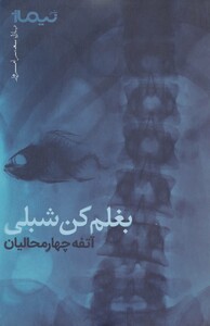 کتاب بغلم کن شبلی