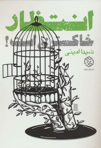 کتاب انتظار خاکستری است