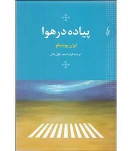 پیاده در هوا