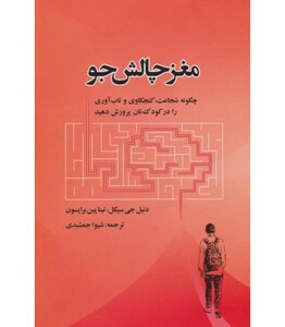 کتاب مغز چالش جو