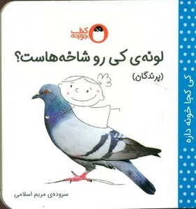 کتاب لونه کی رو شاخه هاست؟