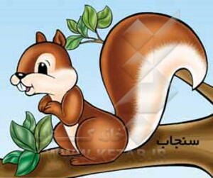 سنجاب نشر خانه ادبیات