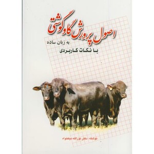 اصول پرورش گاو گوشتی به زبان ساده با نکات کاربردی