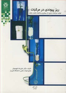 کتاب ریزپیوندی در مرکبات تولید مرکبات عاری از بیماری به کمک کشت بافت
