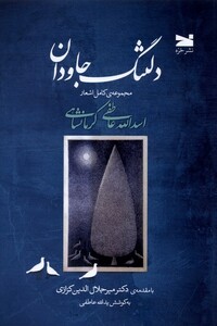 کتاب دلتنگ جاودان