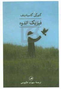 فیزیک اندوه