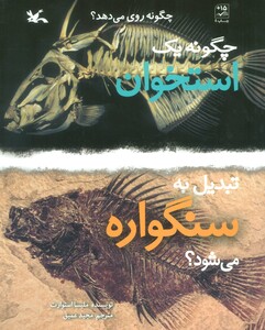 کتاب چگونه یک استخوان تبدیل به سنگواره می شود؟