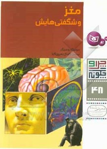 مغز و شگفتی هایش