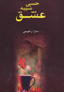 کتاب حسی شبیه عشق