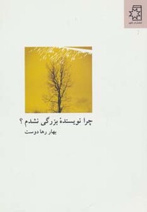 کتاب چرا نویسنده بزرگی نشدم؟