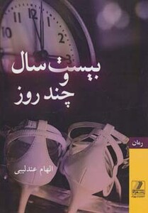 کتاب بیست سال و چند روز