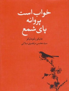 خواب است پروانه پای شمع