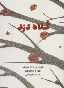 کتاب کلاه دزد